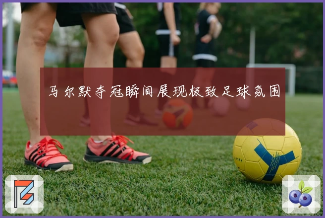 马尔默夺冠瞬间展现极致足球氛围