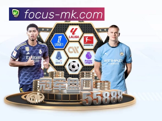 体育平台欢迎图